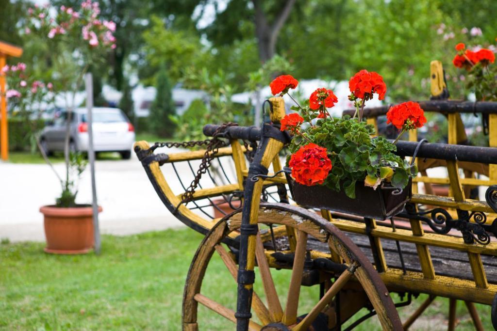 Balaton Eldorado Camping Hotel Badacsonytordemic Exterior photo